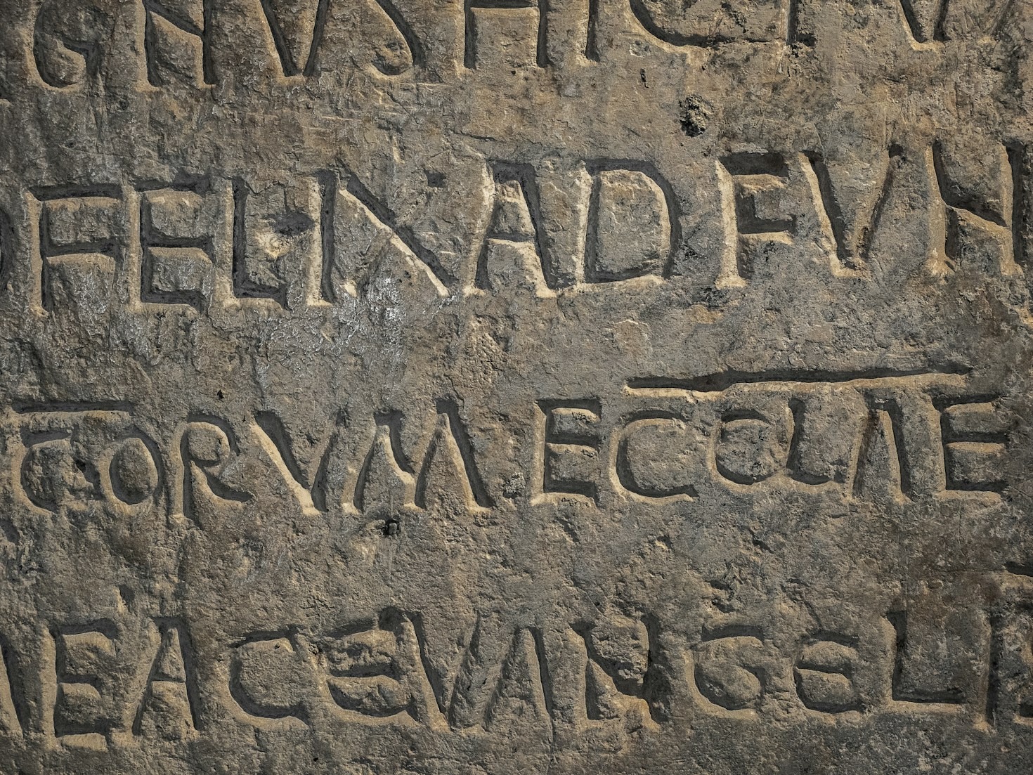 Personal Accounts from Spirit Vine Visitors